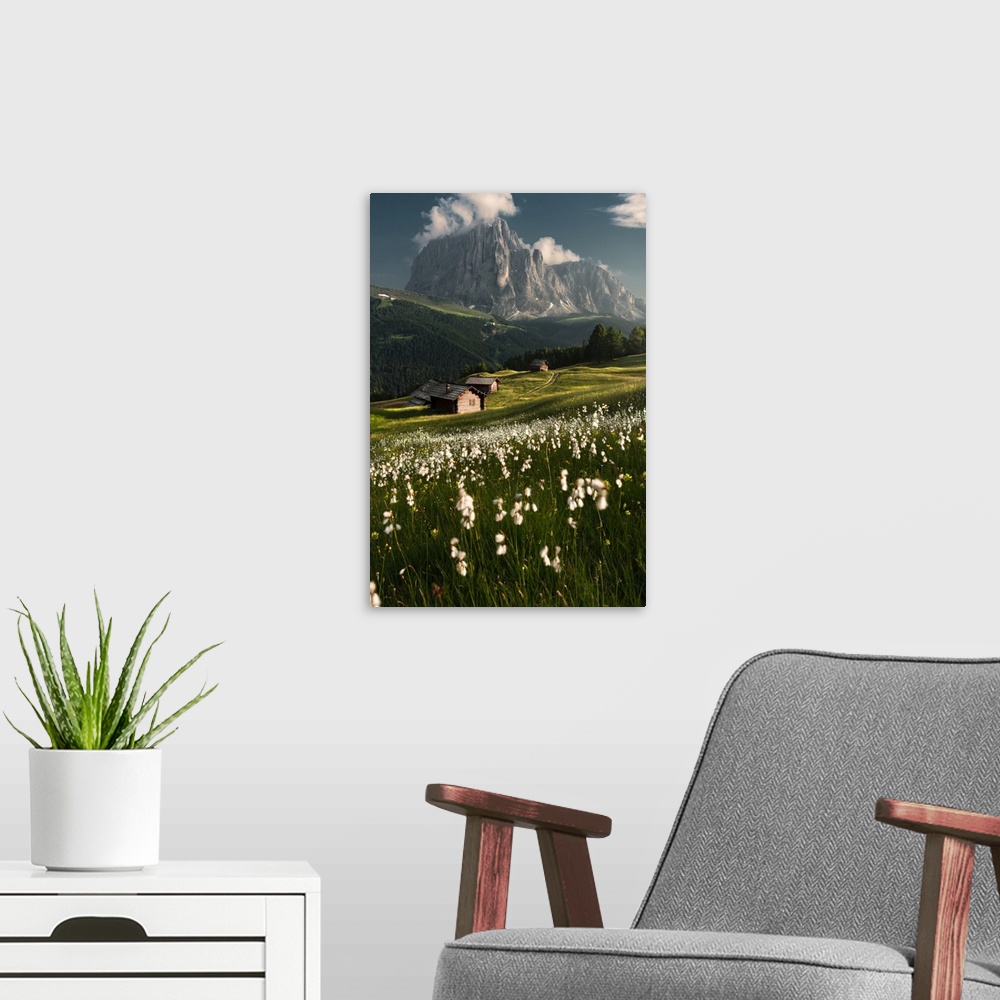 A modern room featuring Daunei, Selva Val Gardena, Gardena Valley, South Tyrol, Dolomites, Italy, Europe. Flowering meado...