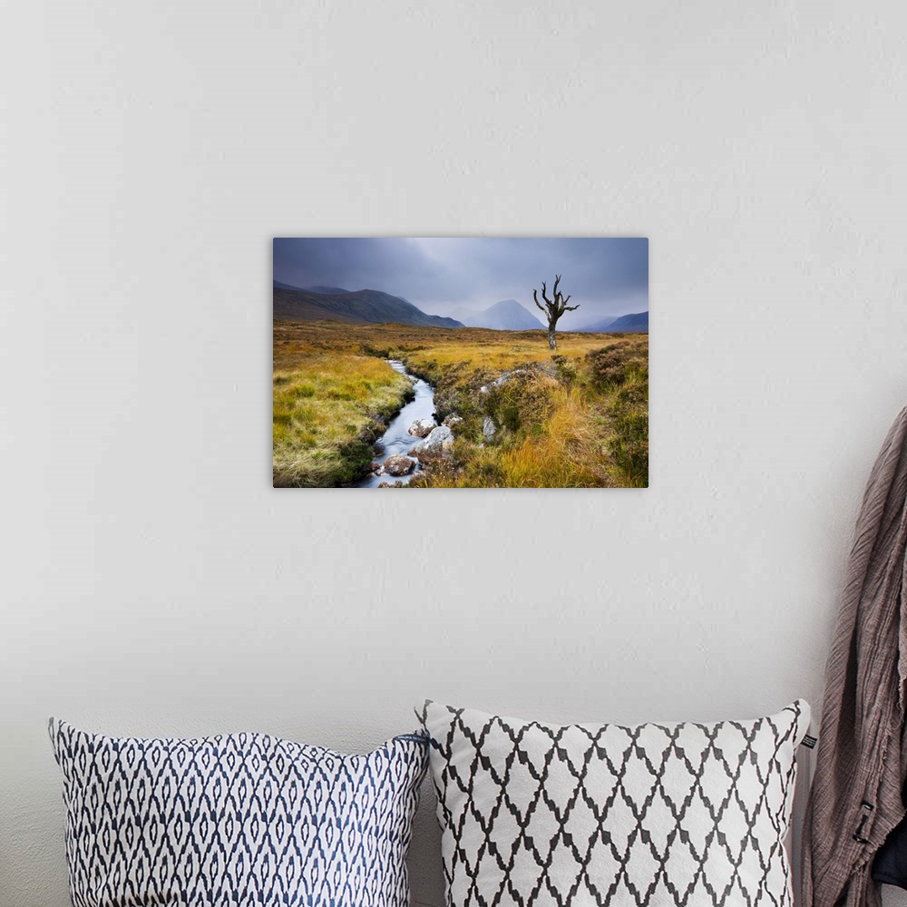A bohemian room featuring Dead tree and stream on moorland wilderness of Rannoch Moor, Highlands, Scotland