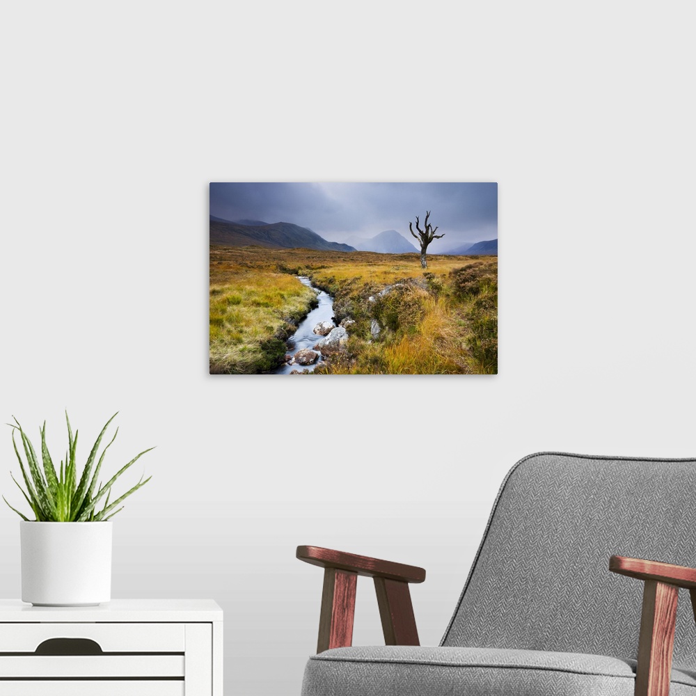 A modern room featuring Dead tree and stream on moorland wilderness of Rannoch Moor, Highlands, Scotland