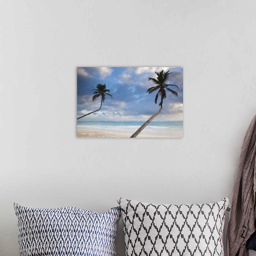 A bohemian room featuring Dominican Republic, Punta Cana Region, Bavaro, Bavaro beach palms, dawn