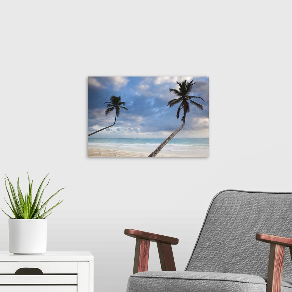 A modern room featuring Dominican Republic, Punta Cana Region, Bavaro, Bavaro beach palms, dawn