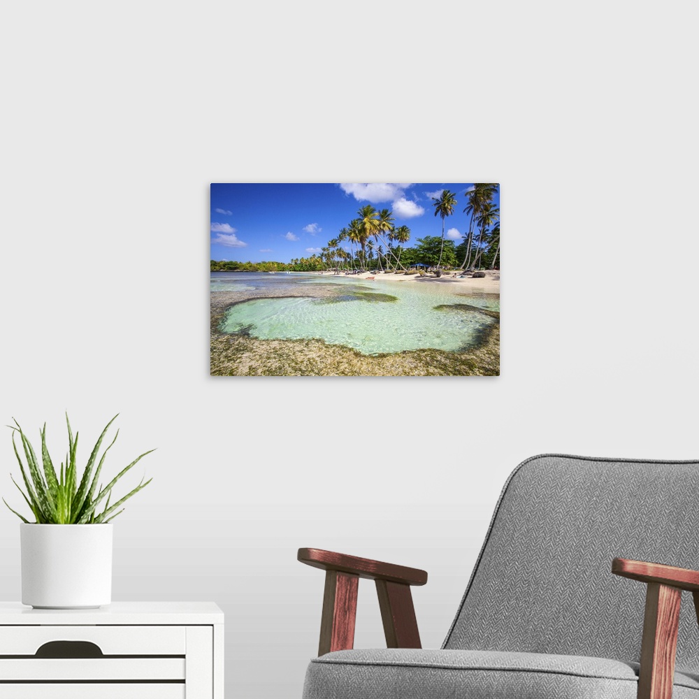 A modern room featuring Dominican Republic, Samana Peninsula, Las Galleras, La Playita beach