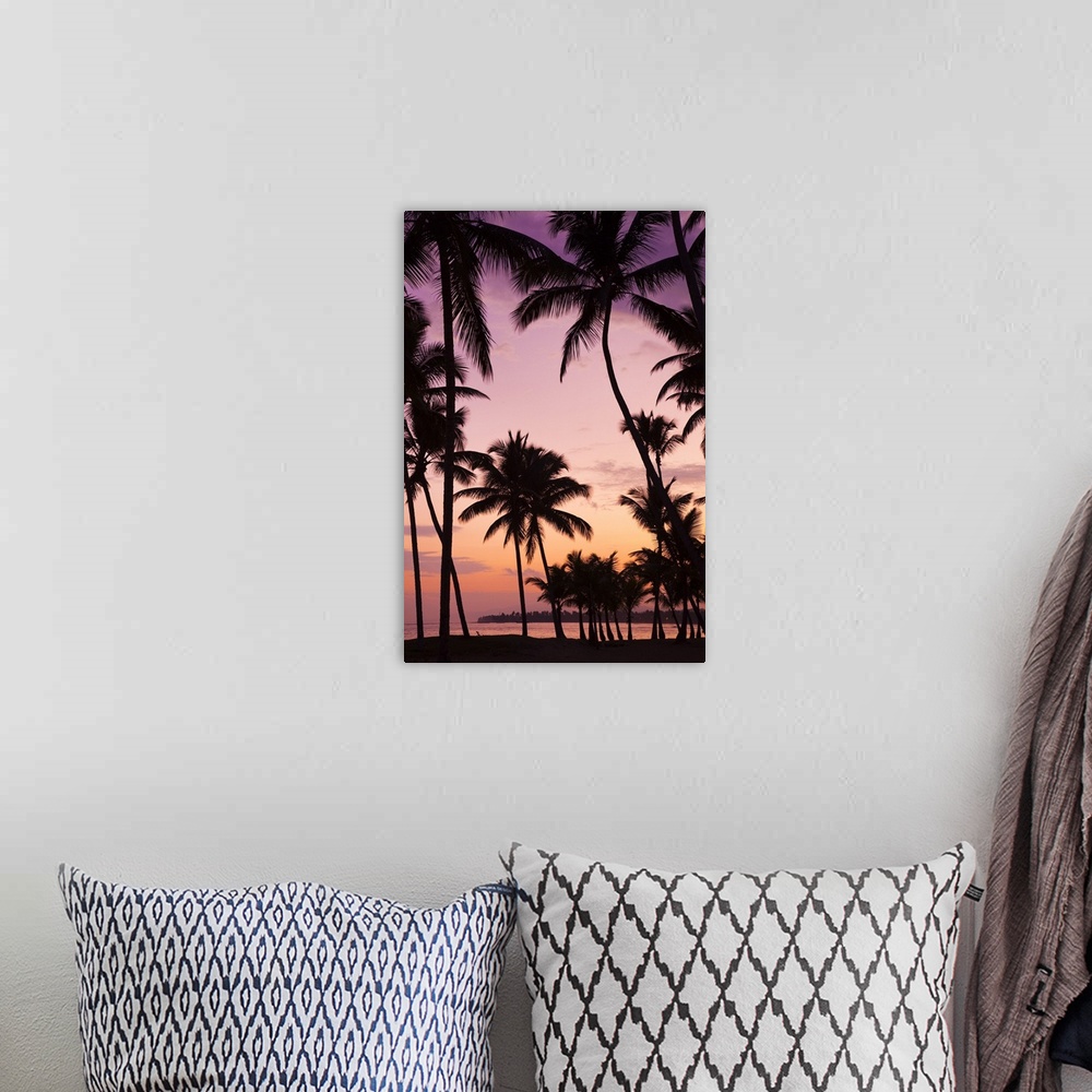 A bohemian room featuring Dominican Republic, Samana Peninsula, Las Terrenas, Playa Las Terrenas beach, dawn