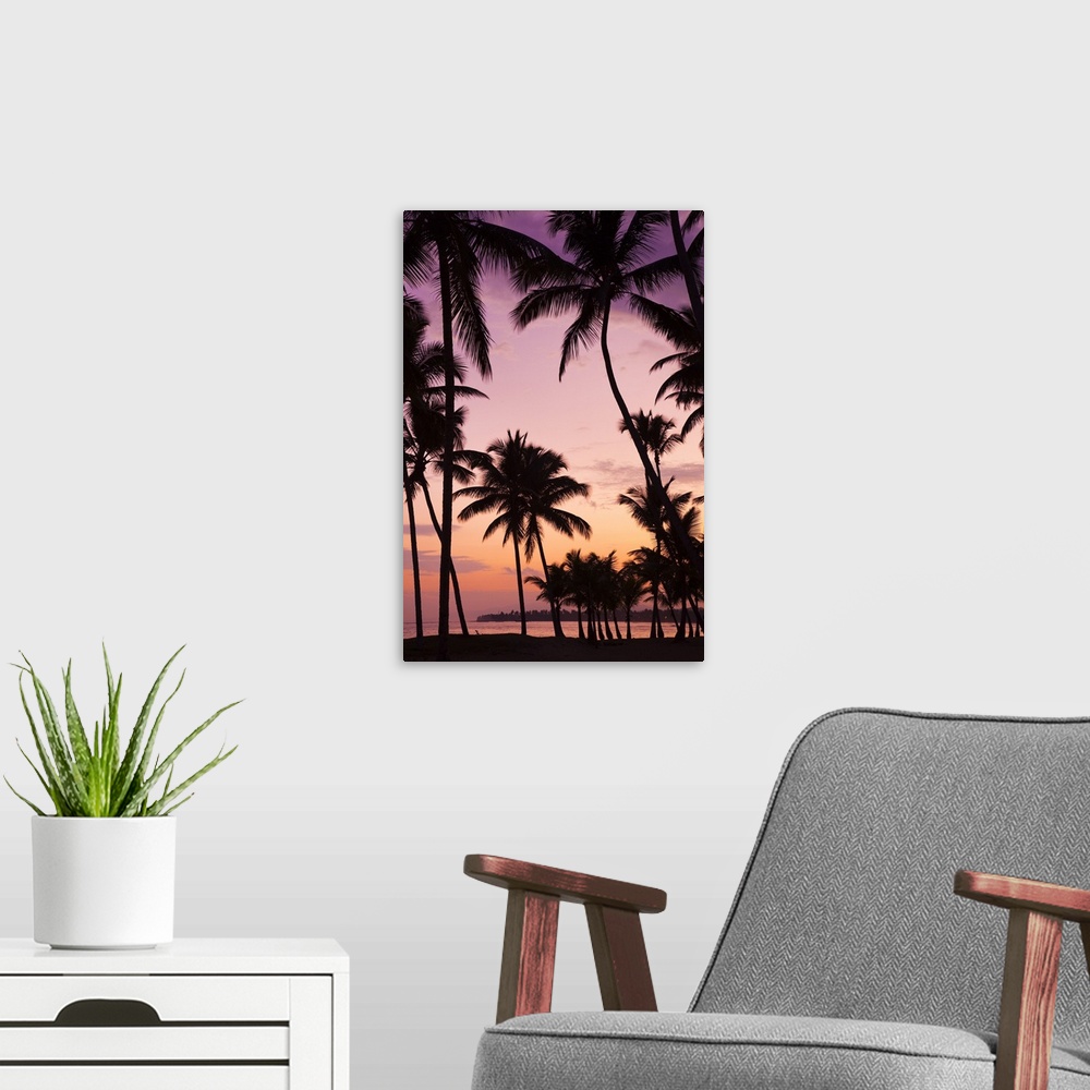 A modern room featuring Dominican Republic, Samana Peninsula, Las Terrenas, Playa Las Terrenas beach, dawn