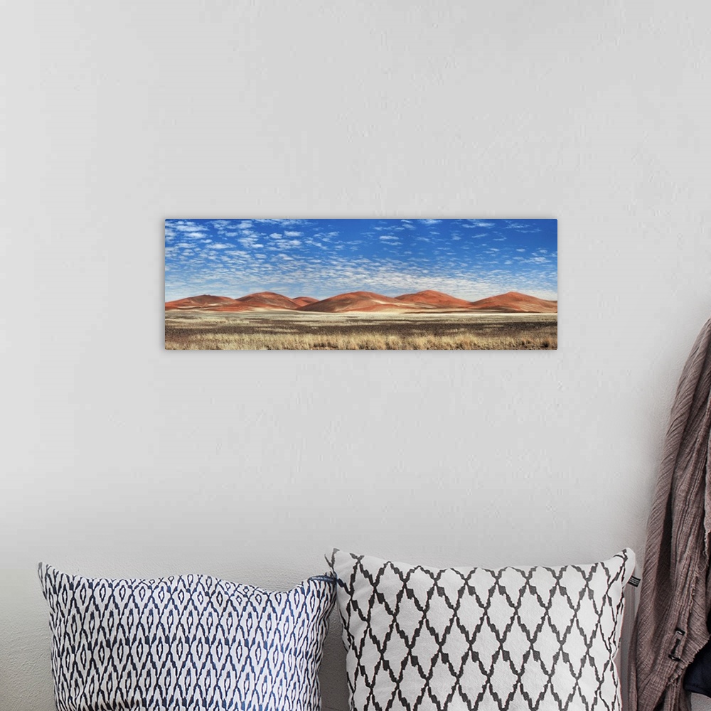 A bohemian room featuring Dune impression in Namib. Namibia, Hardap, Namib, Tsauchab River. Namib Naukluft National Park. A...