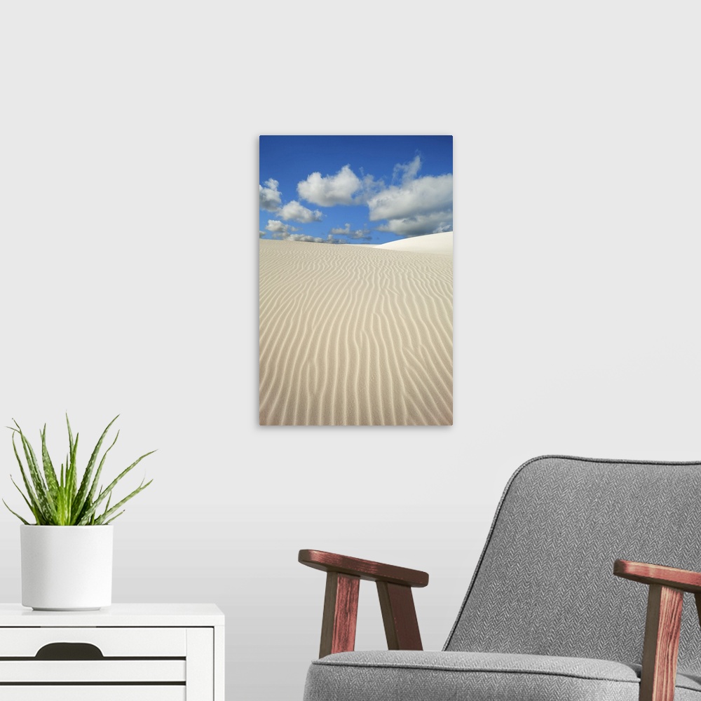 A modern room featuring Dune landscape near Cervantes. Australia, Western Australia, Midwest, Nambung National Park, Cerv...