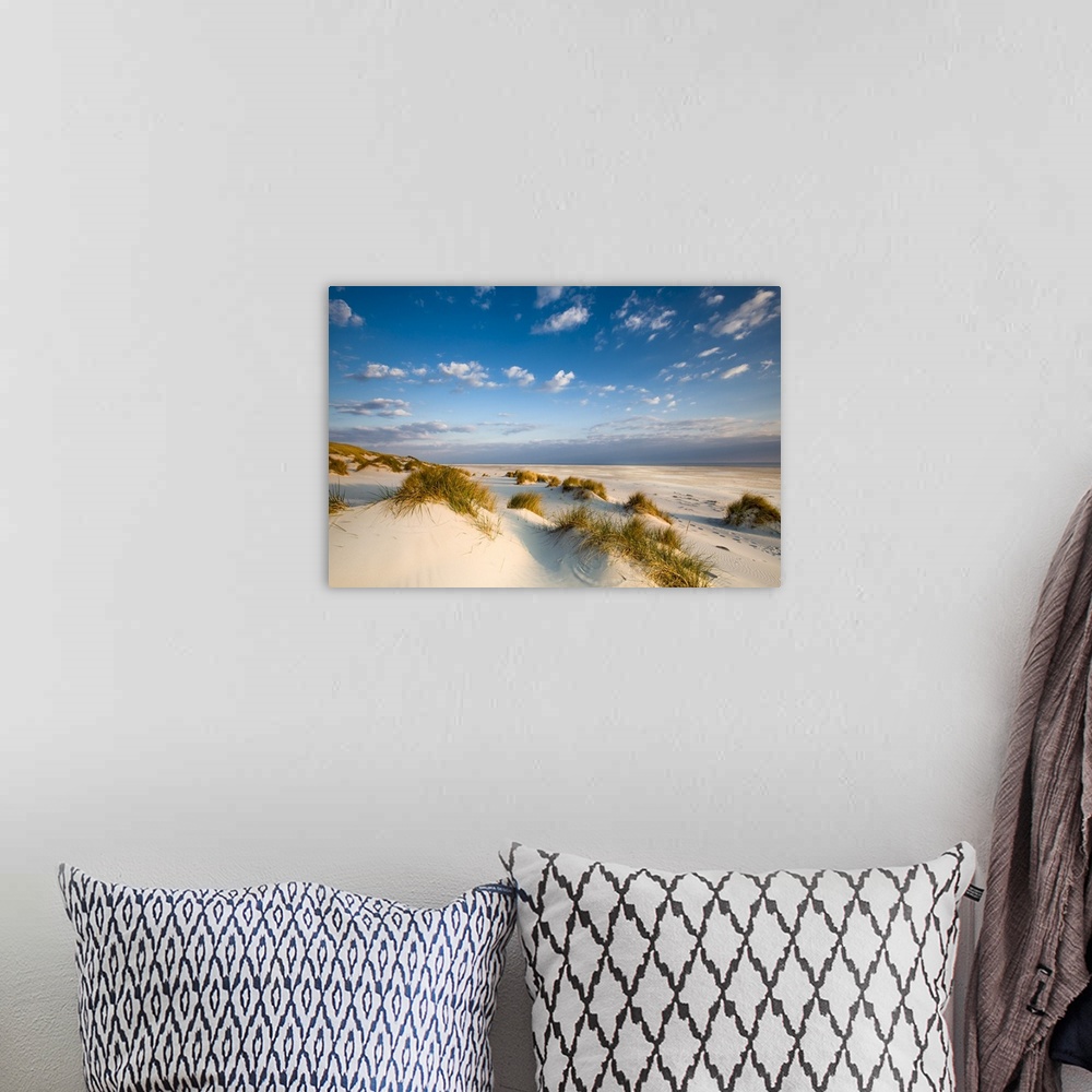 A bohemian room featuring Dunes, Amrum Island, Northern Frisia, Schleswig-Holstein, Germany