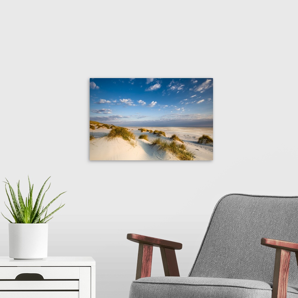 A modern room featuring Dunes, Amrum Island, Northern Frisia, Schleswig-Holstein, Germany