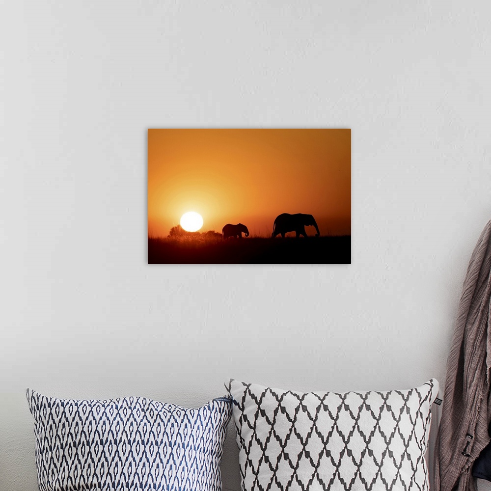 A bohemian room featuring Elephant Silhouette, Chobe River, Botswana