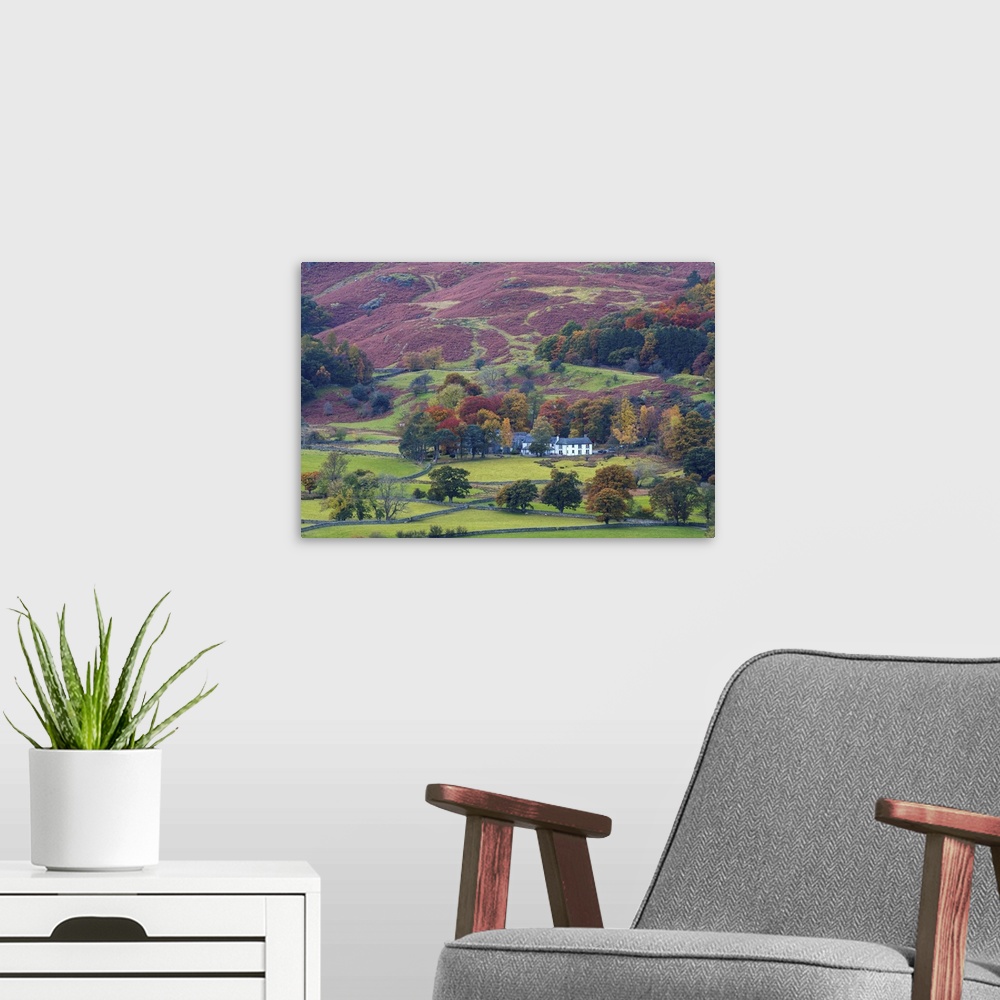 A modern room featuring UK, England, Cumbria, Lake District, Borrowdale on south bank of Derwentwater.