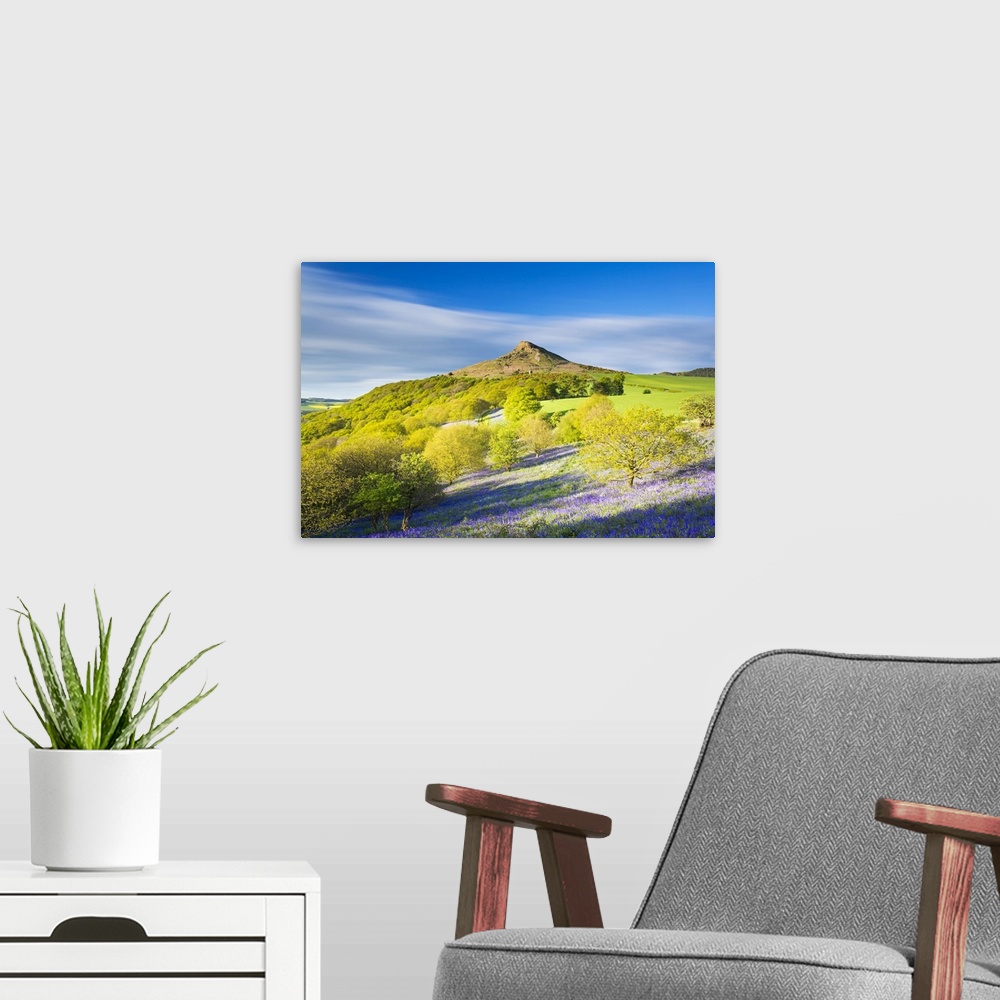 A modern room featuring United Kingdom, England, North Yorkshire, Great Ayton. Spring bluebells at Roseberry Topping.