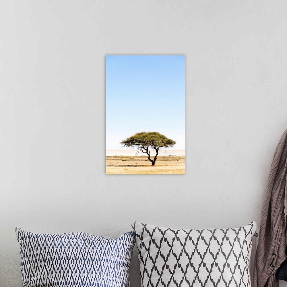 A bohemian room featuring Etosha Pan, Namibia, Africa. Lonely tree