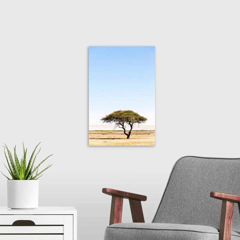 A modern room featuring Etosha Pan, Namibia, Africa. Lonely tree