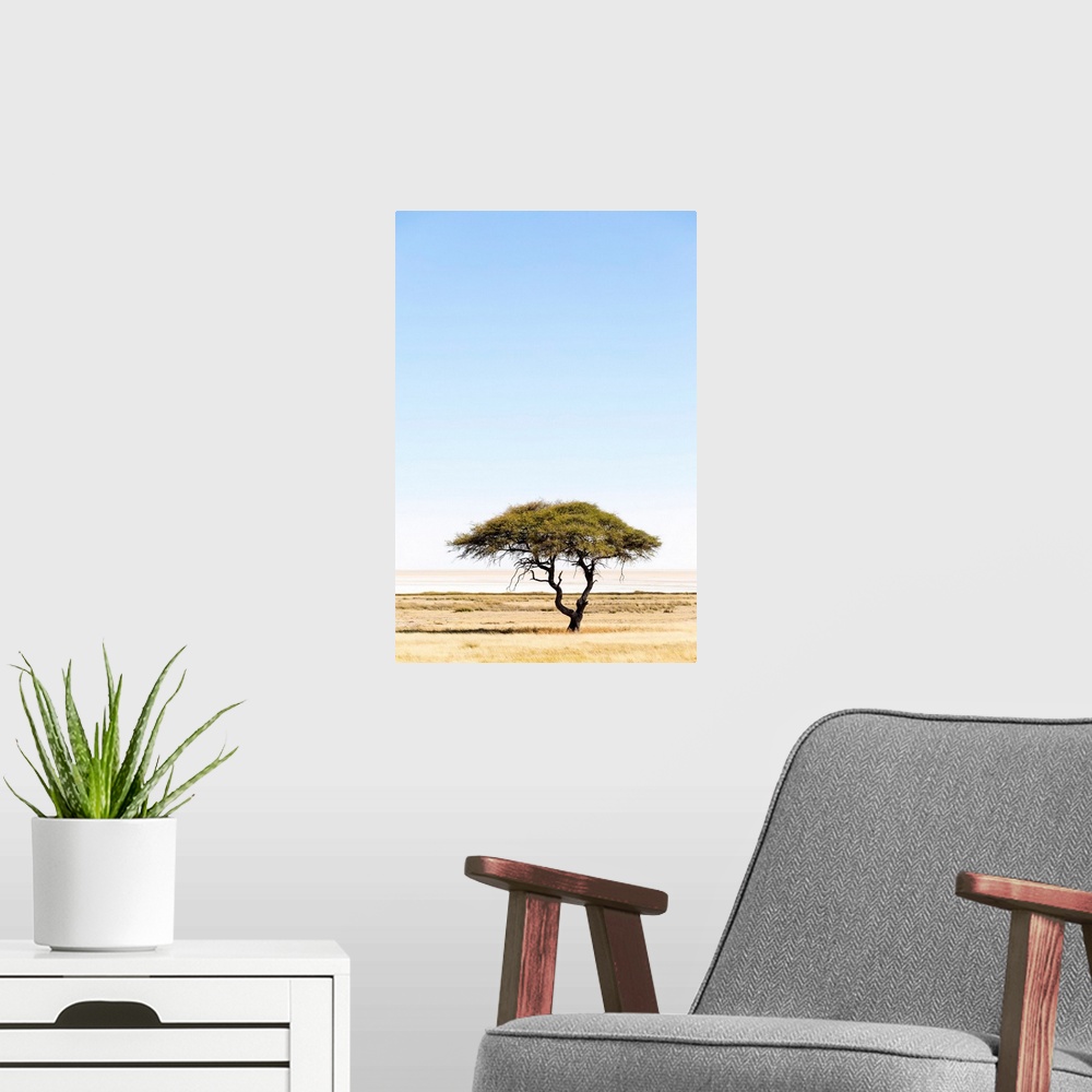 A modern room featuring Etosha Pan, Namibia, Africa. Lonely tree