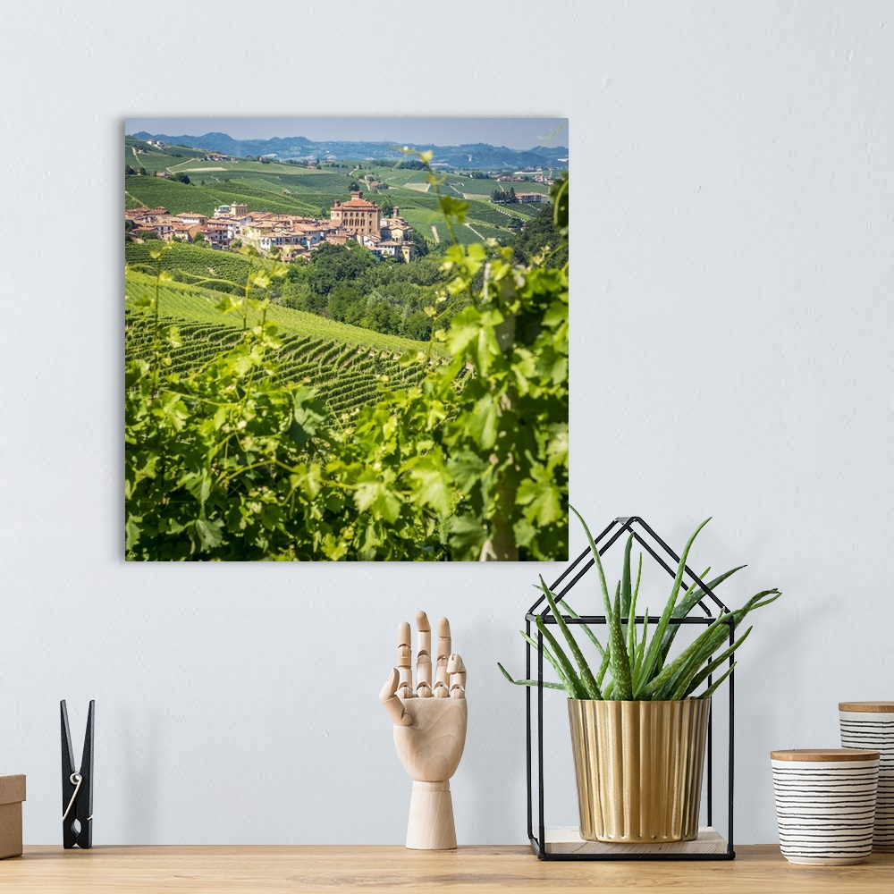 A bohemian room featuring Europe, Italy, Piedmont. View of Barolo surrounded by vineyards.