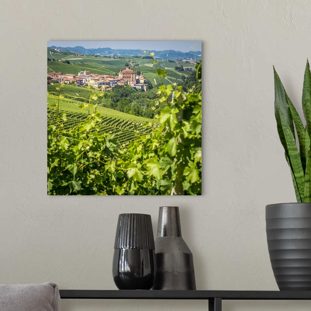 A modern room featuring Europe, Italy, Piedmont. View of Barolo surrounded by vineyards.