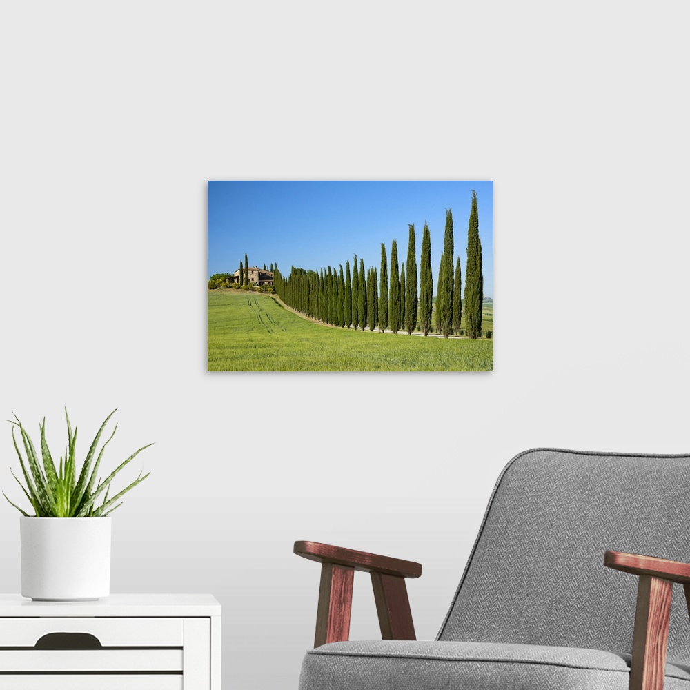 A modern room featuring Europe; Italy; Tuscany; Florence;Montepulciano, farmhouse and Cypress alley