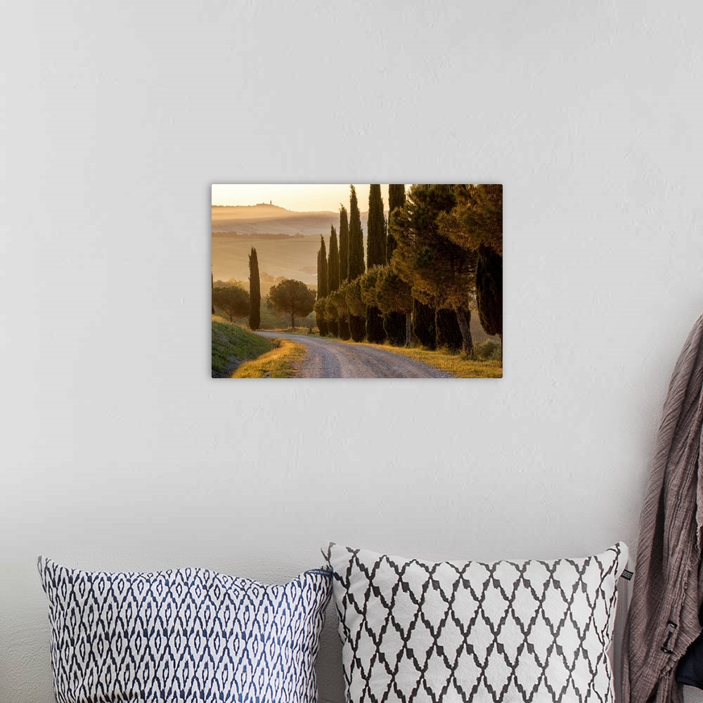 A bohemian room featuring Europe, Italy, Tuscany, Toscana,San Quirico d'Orcia, cypress alley with view to Pienza