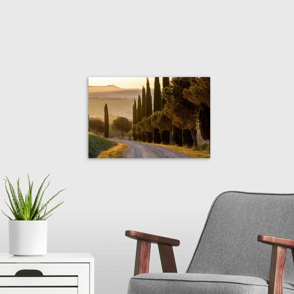 A modern room featuring Europe, Italy, Tuscany, Toscana,San Quirico d'Orcia, cypress alley with view to Pienza