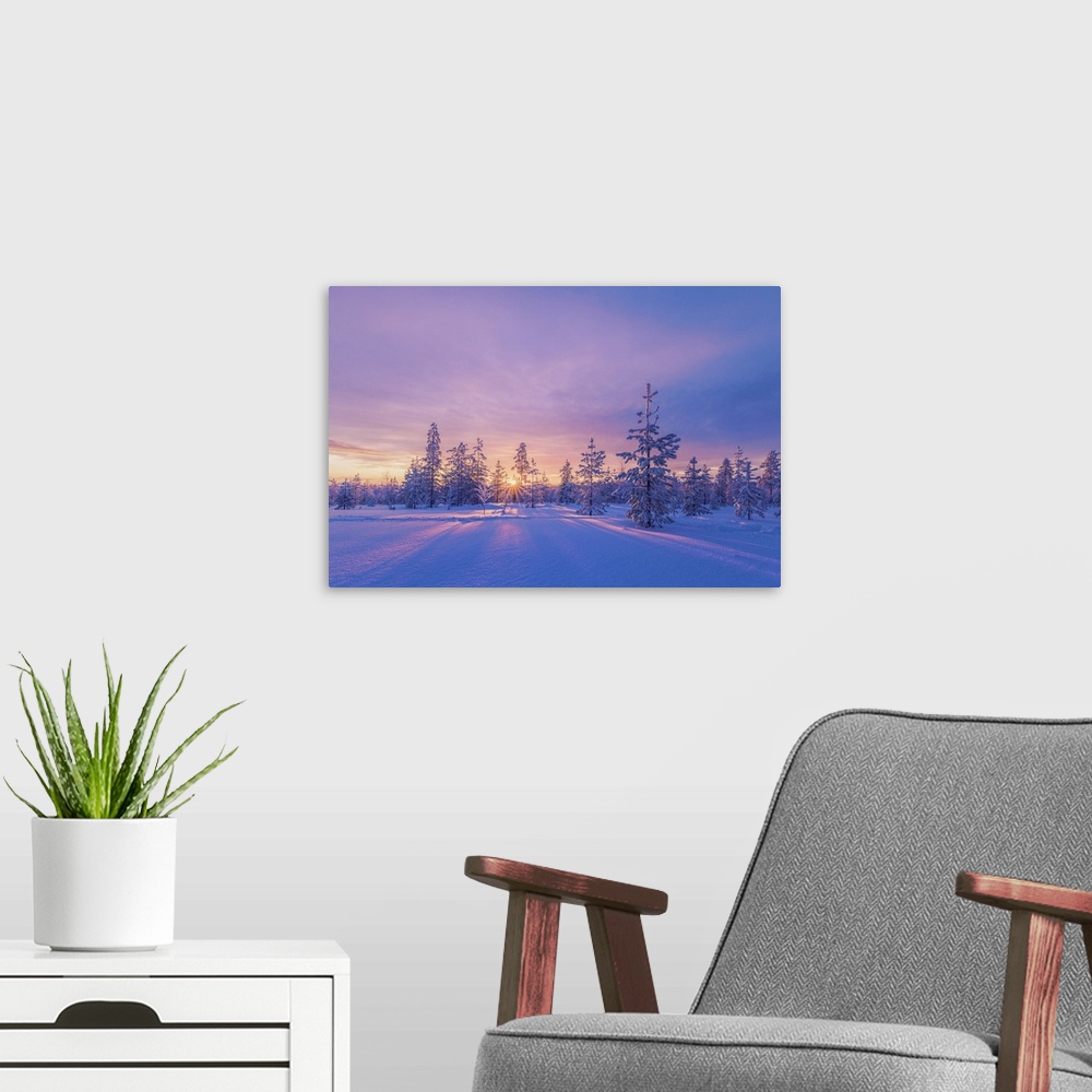 A modern room featuring Europe, Lapland, Finland, sunset on the woods in Rovaniemi area. Lapland, Western Europe, Finland.