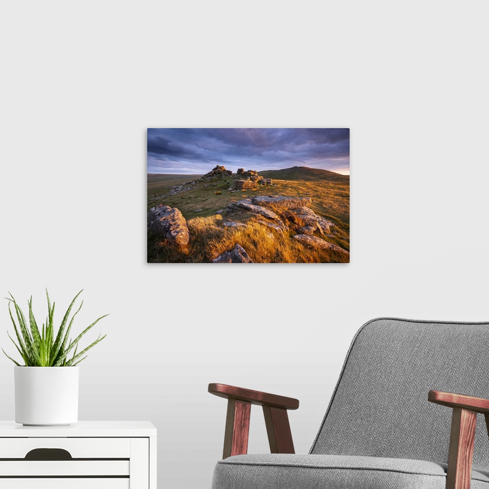 A modern room featuring Late summer evening sunlight glowing on the granite outcrops of West Mill Tor in Dartmoor Nationa...
