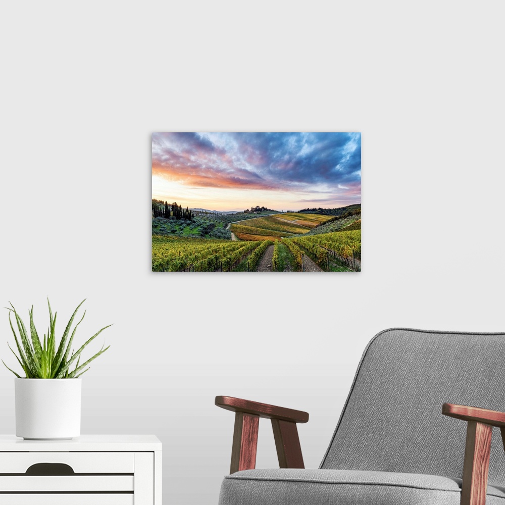 A modern room featuring Farmhouse Surrounded By Vineyards At Sunrise. Gaiole In Chianti, Siena Province, Tuscany, Italy.
