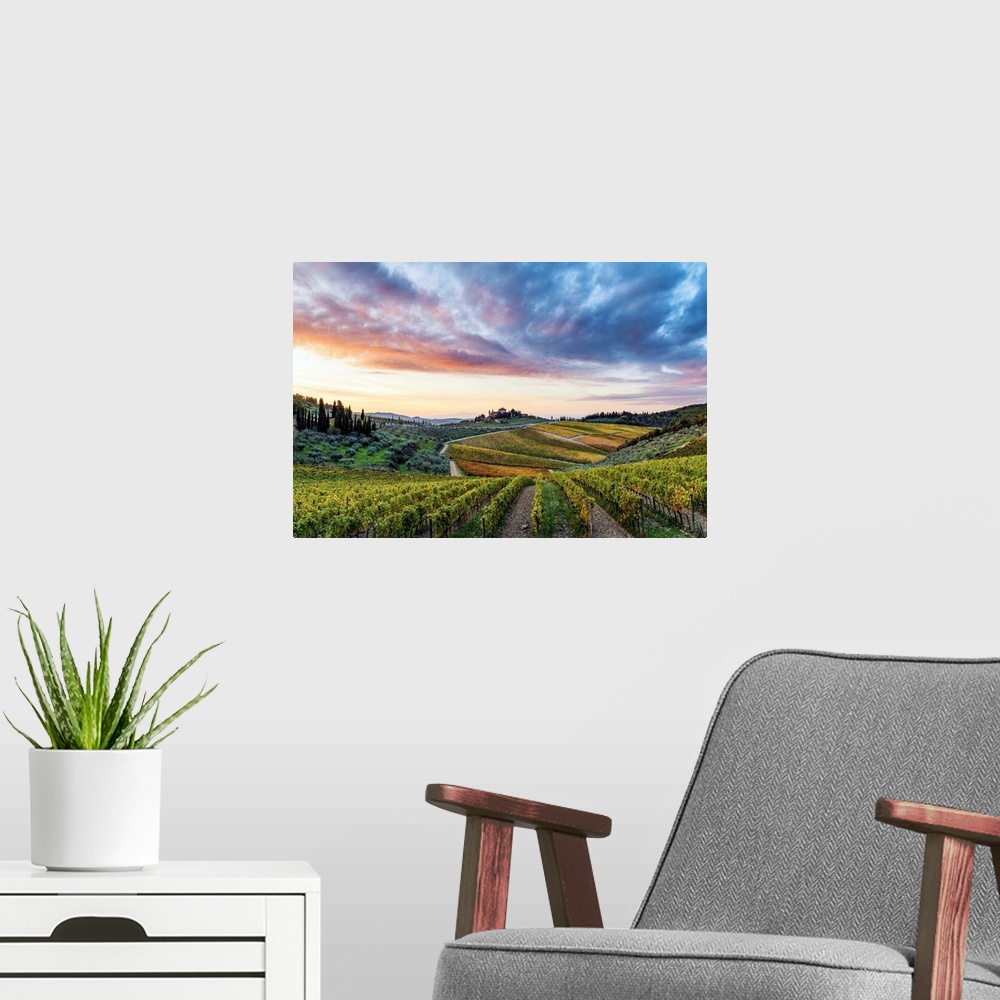 A modern room featuring Farmhouse Surrounded By Vineyards At Sunrise. Gaiole In Chianti, Siena Province, Tuscany, Italy.