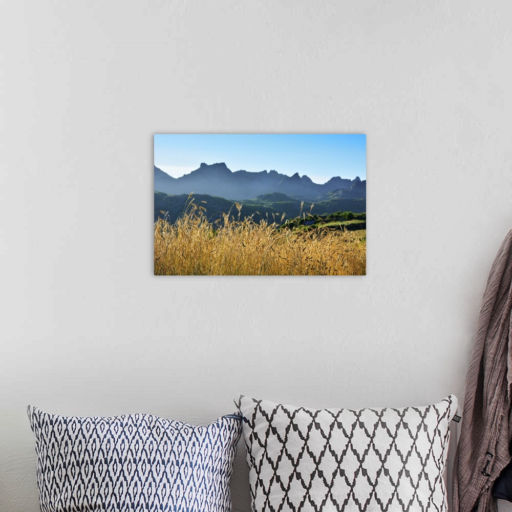 A bohemian room featuring A field of rye at sunset with the mountain range of Pitoes das Junias in the background. Peneda G...