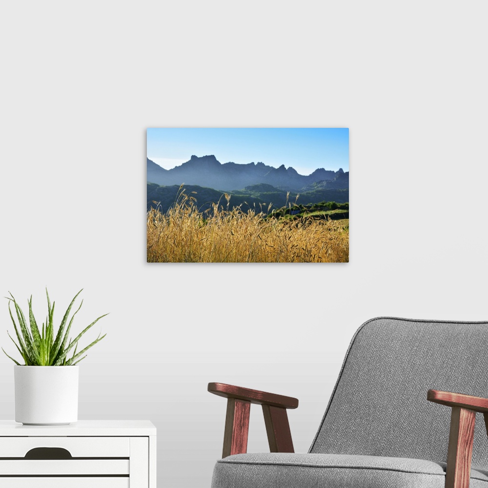 A modern room featuring A field of rye at sunset with the mountain range of Pitoes das Junias in the background. Peneda G...