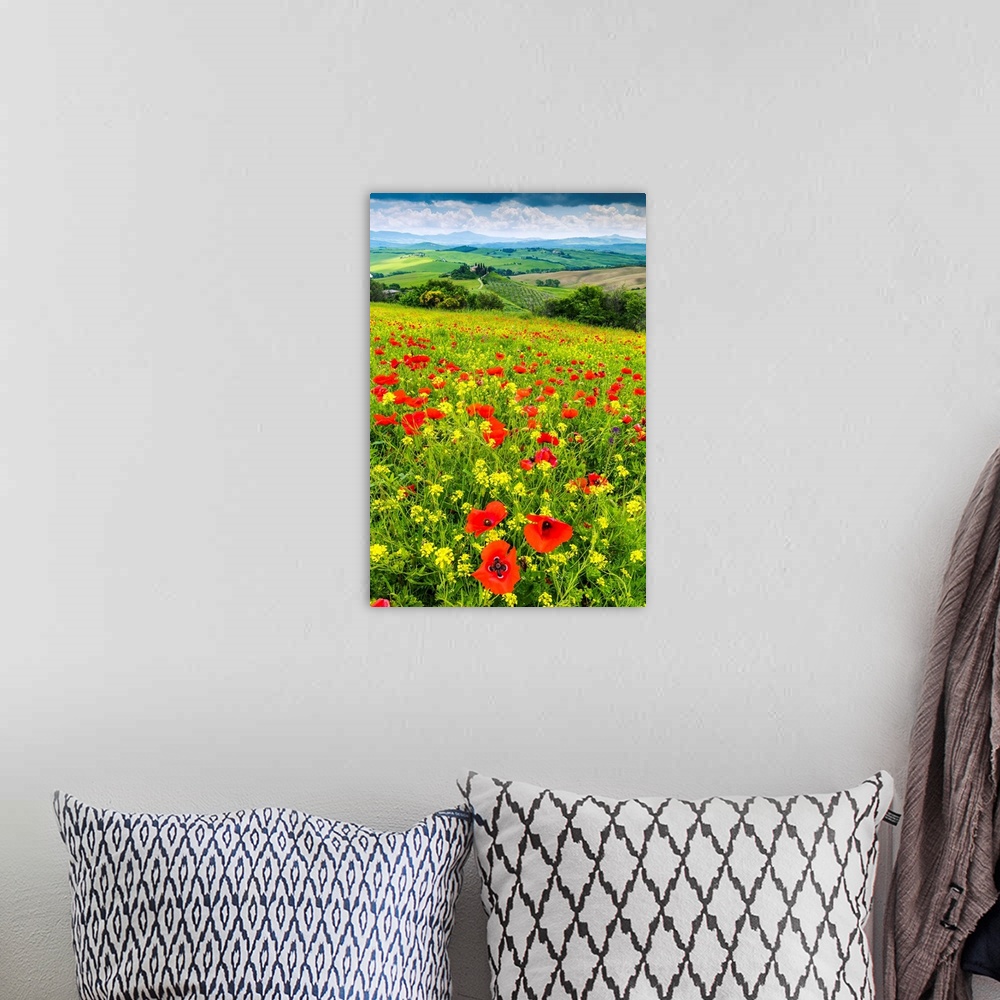 A bohemian room featuring Field of Wildflowers Above Belvedere, Val d' Orcia, Tuscany, Italy.