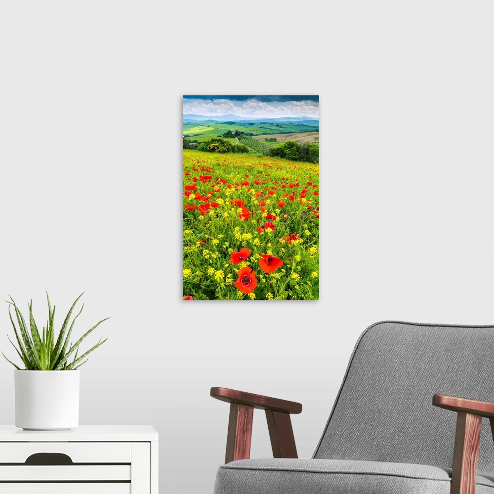 A modern room featuring Field of Wildflowers Above Belvedere, Val d' Orcia, Tuscany, Italy.
