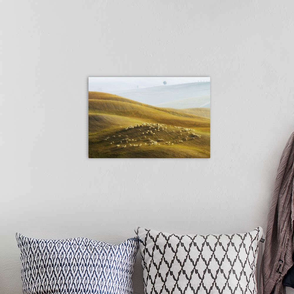 A bohemian room featuring Flock of sheep grazing, Val d'Orcia, Tuscany, Italy