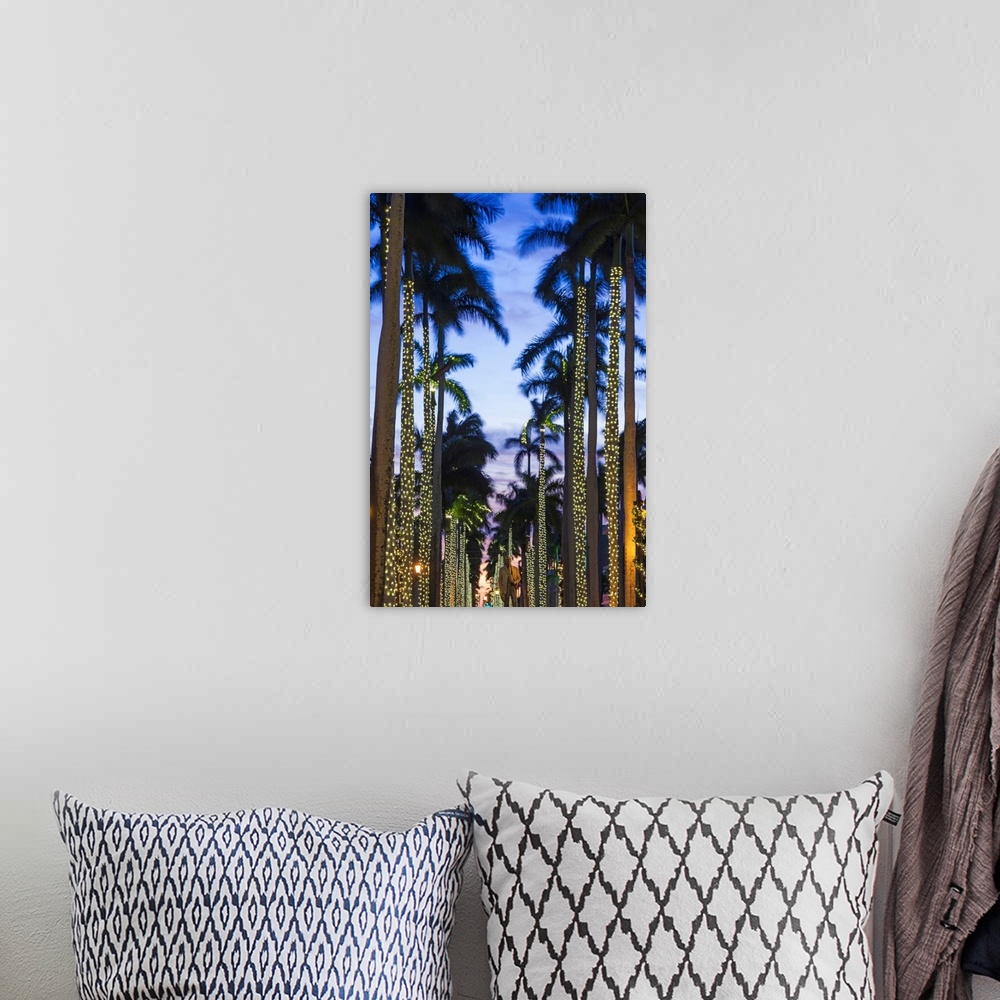 A bohemian room featuring USA, Florida, Palm Beach, palms on Royal Palm Way