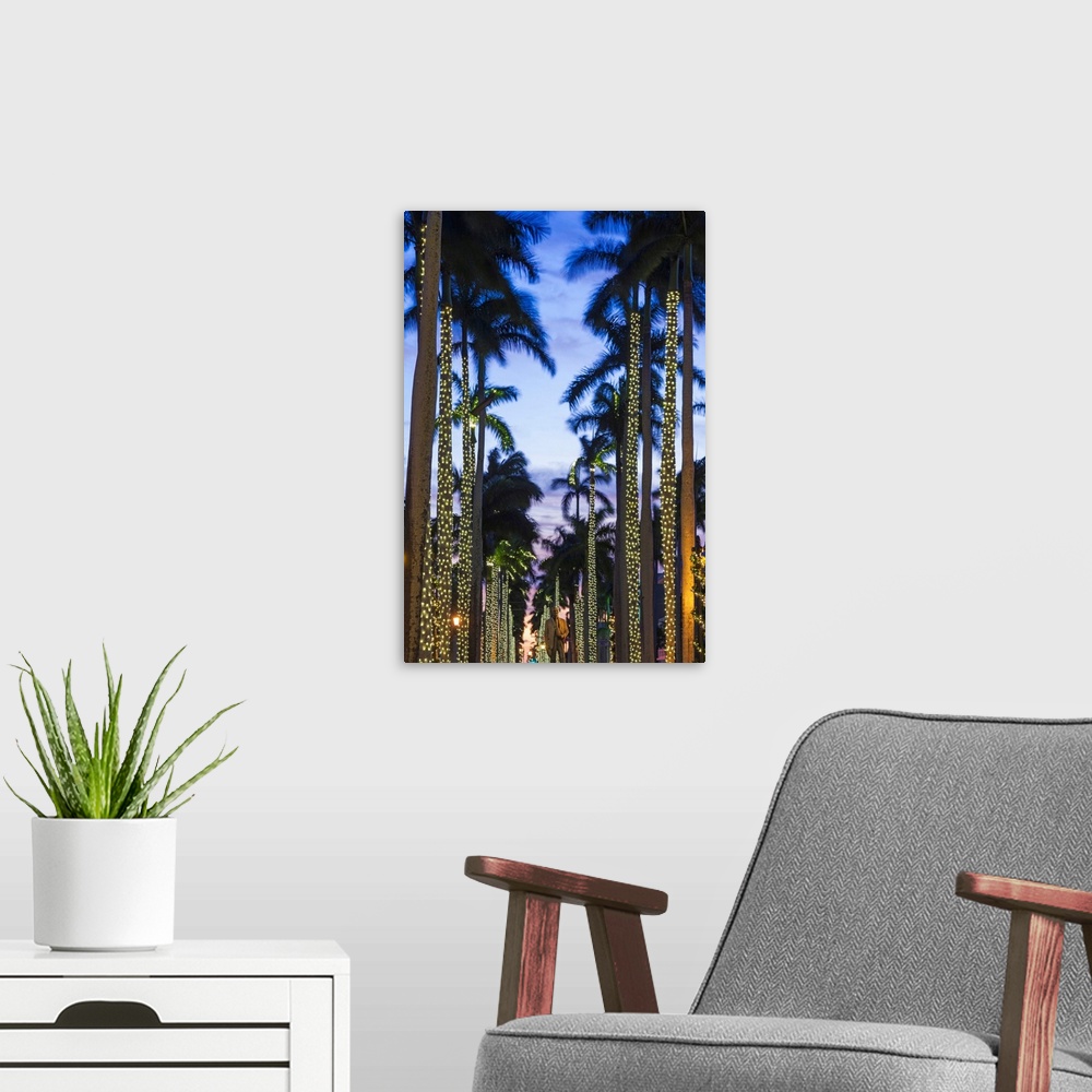 A modern room featuring USA, Florida, Palm Beach, palms on Royal Palm Way