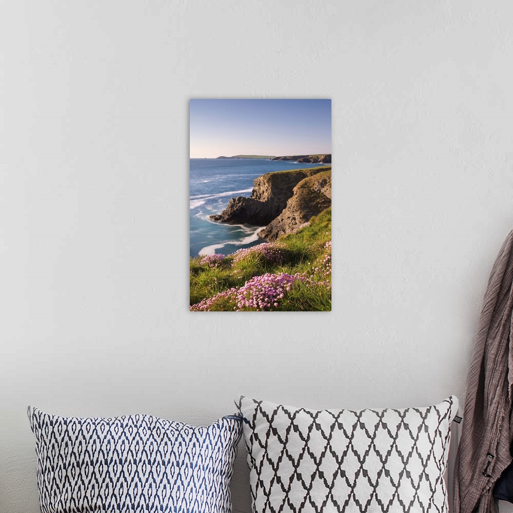 A bohemian room featuring Flowering Sea Thrift (Armeria maritima) on the Cornish clifftops near Porthcothan, with views to ...
