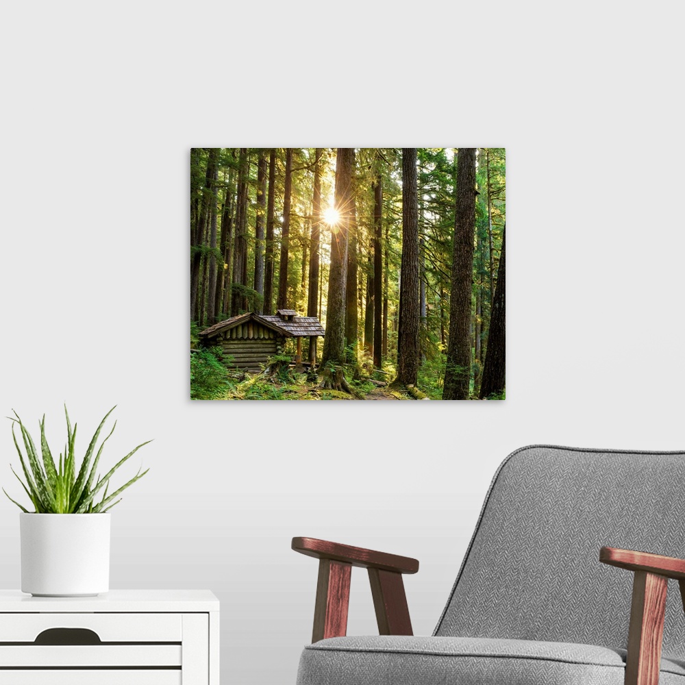 A modern room featuring Forest Cabin, Sol Duc, Olympic National Park, Washington, Usa