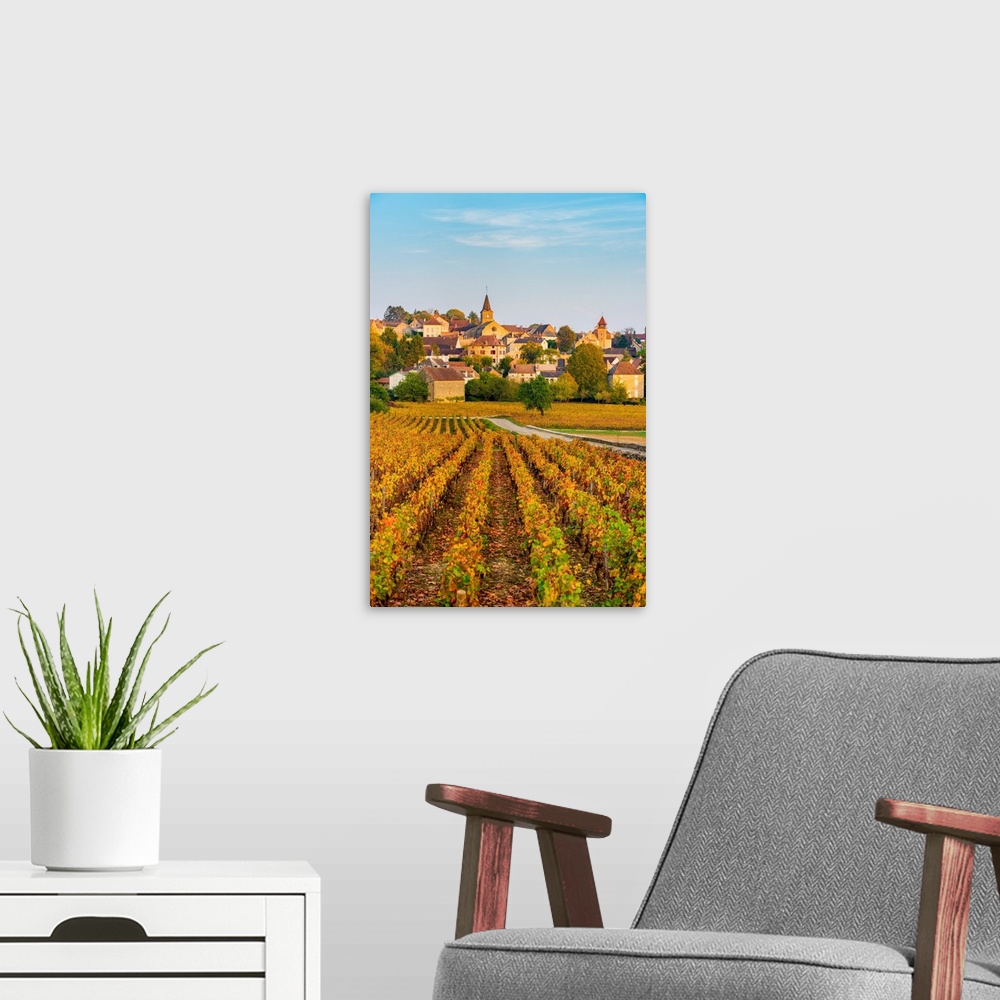 A modern room featuring France, bourgogne-franche-comte, burgundy, cote-d'or, monthelie.
