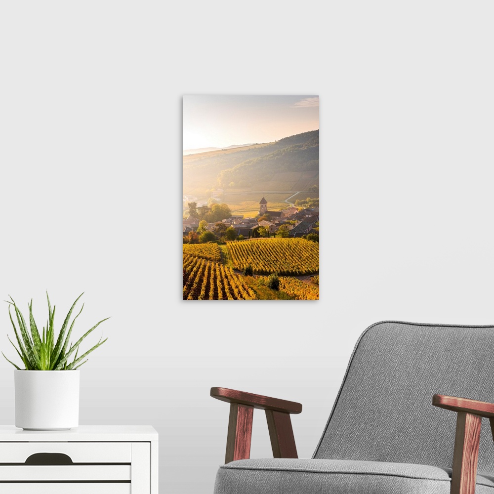A modern room featuring France, Bourgogne-Franche-Comte, Burgundy, Saone-et-Loire, Solutre-Pouilly.