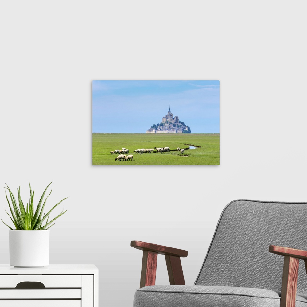 A modern room featuring France, Normandy (Normandie), Manche department, sheep grazing in front of Le Mont-Saint-Miichel.