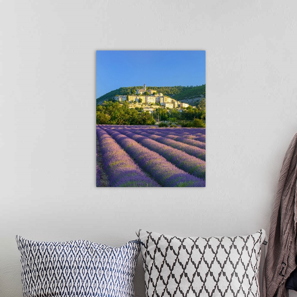 A bohemian room featuring France, Provence-Alpes-Cote d'Azur, Banon and lavender fields