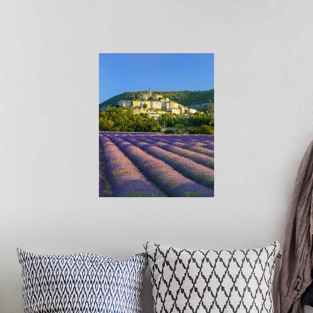 A bohemian room featuring France, Provence-Alpes-Cote d'Azur, Banon and lavender fields
