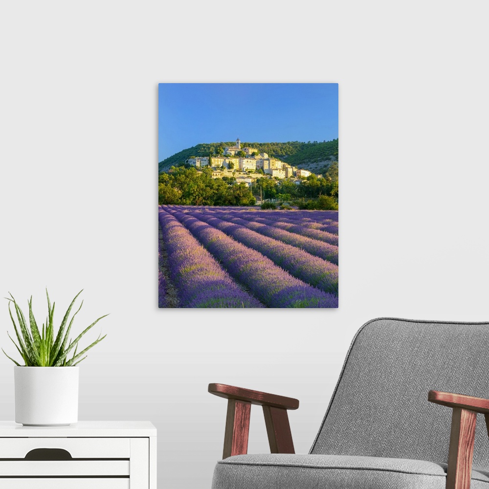 A modern room featuring France, Provence-Alpes-Cote d'Azur, Banon and lavender fields