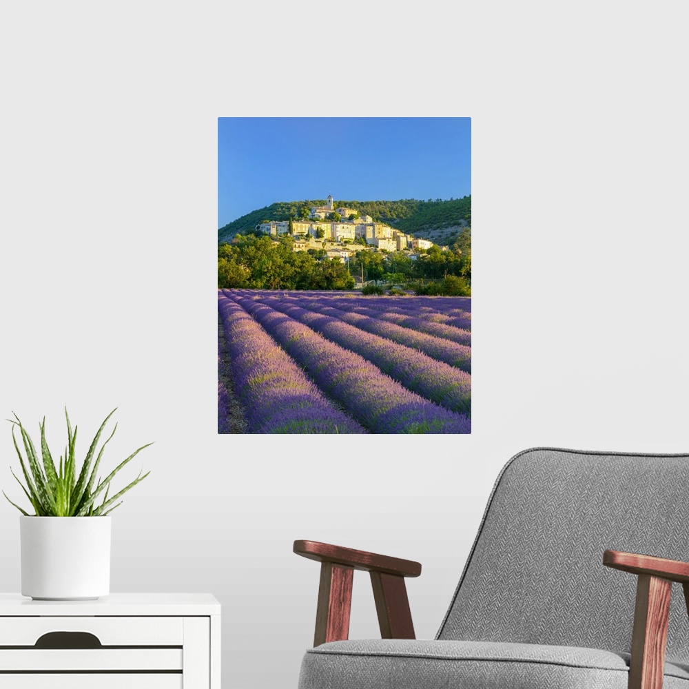 A modern room featuring France, Provence-Alpes-Cote d'Azur, Banon and lavender fields
