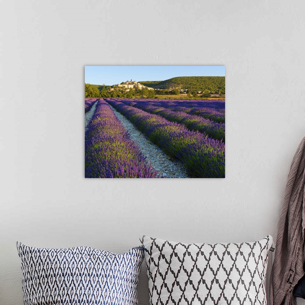 A bohemian room featuring France, Provence, Banon, lavender to foreground