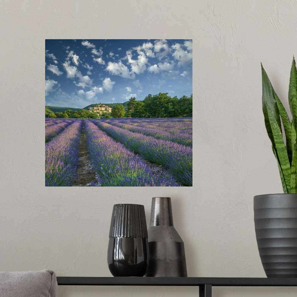 A modern room featuring France; Provence; Provence-Alpes-Cote d'Azur; Banon
