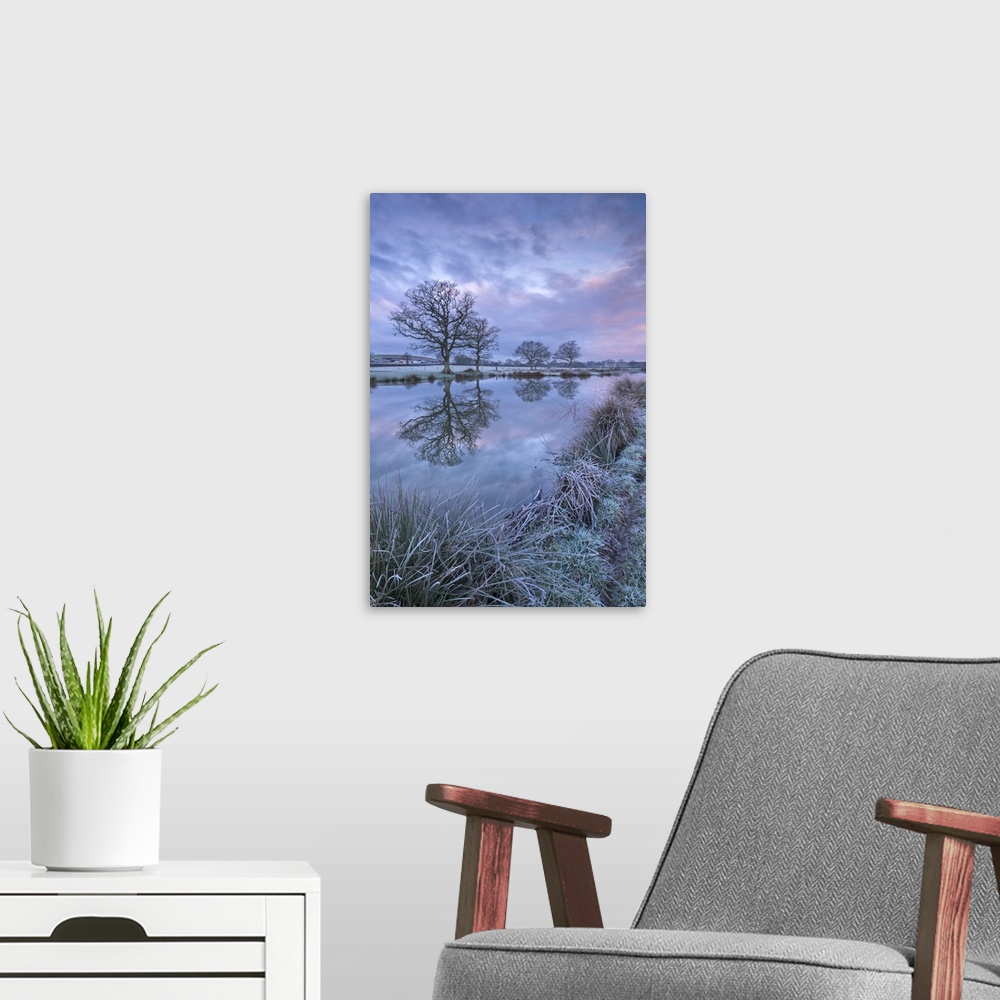 A modern room featuring Frosty winter morning beside a rural pond, Morchard Road, Devon, England. Winter (January)