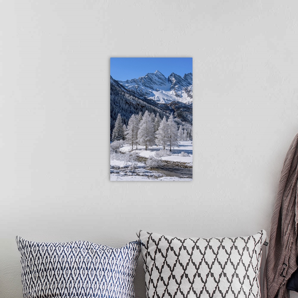A bohemian room featuring Frozen trees with river on Ceresole Reale, Levanne on background, Orco Valley, Piedmont, Italy, E...