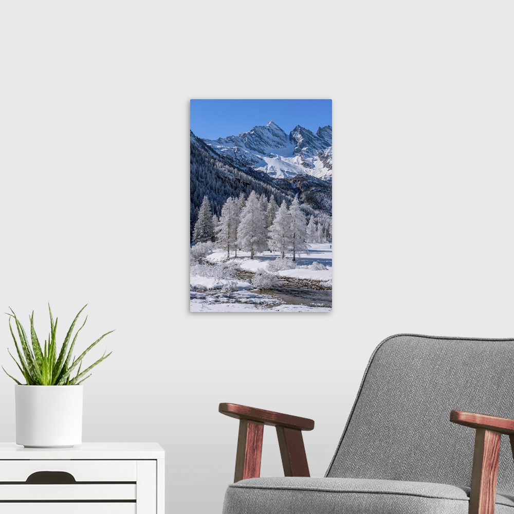 A modern room featuring Frozen trees with river on Ceresole Reale, Levanne on background, Orco Valley, Piedmont, Italy, E...