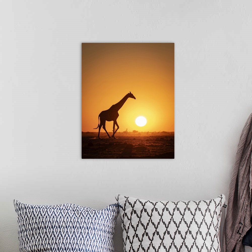 A bohemian room featuring Giraffe sunset silhouette, Nxai Pan National Park, Botswana