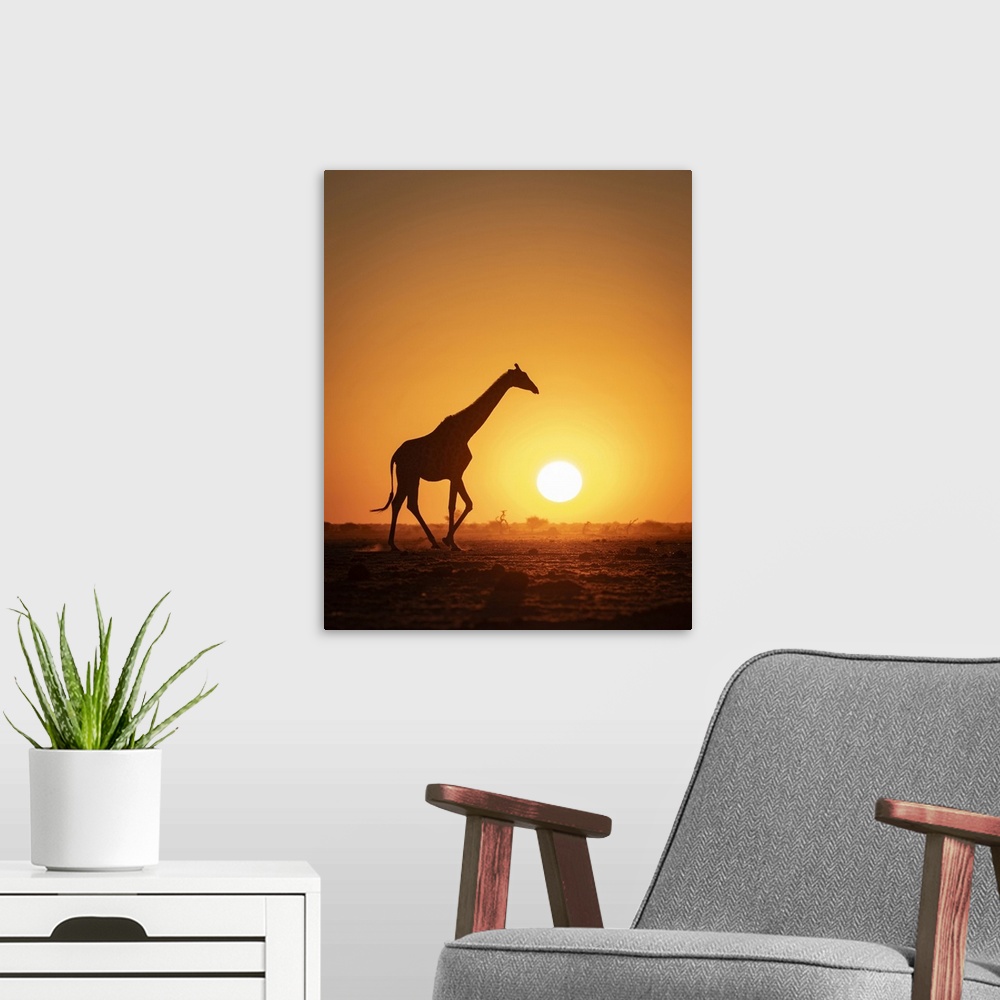 A modern room featuring Giraffe sunset silhouette, Nxai Pan National Park, Botswana